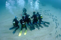 Curso PADI Open Water Diver